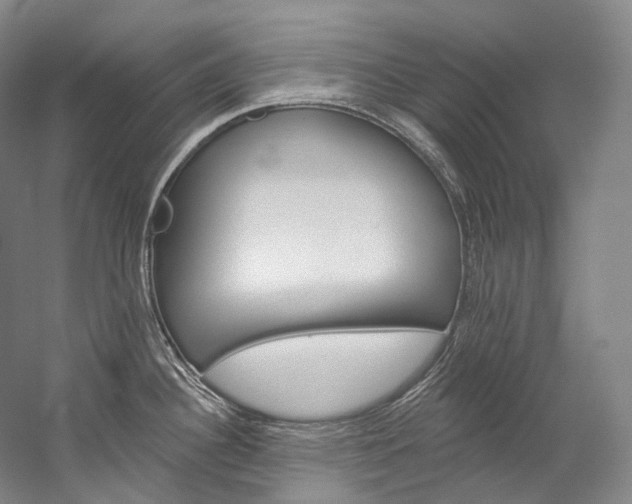 X0000060271340200510281025