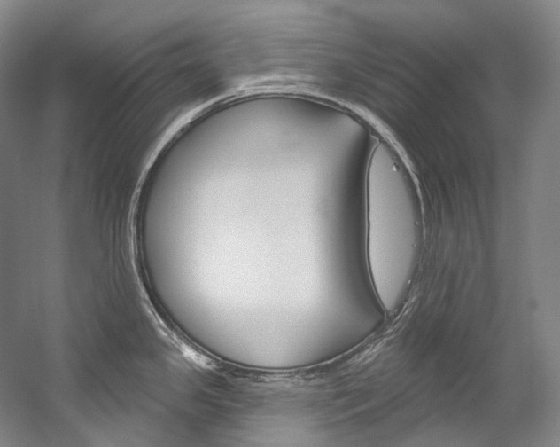 X0000060271341200510281025