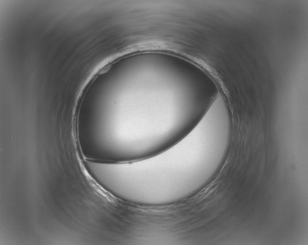 X0000060271342200510281025
