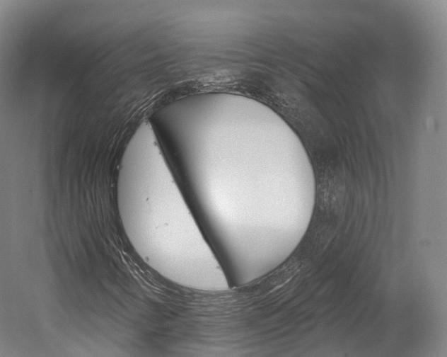 X0000060271346200510281024
