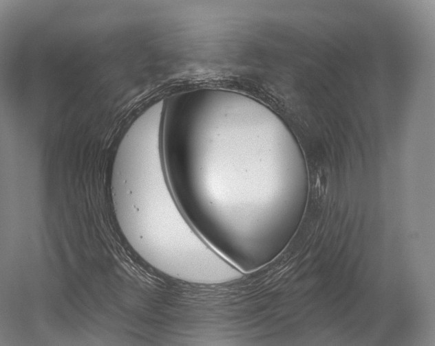 X0000060271348200510281024