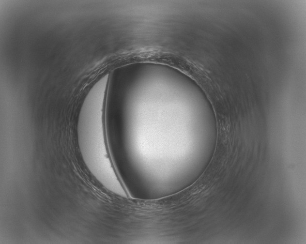 X0000060271349200510281024