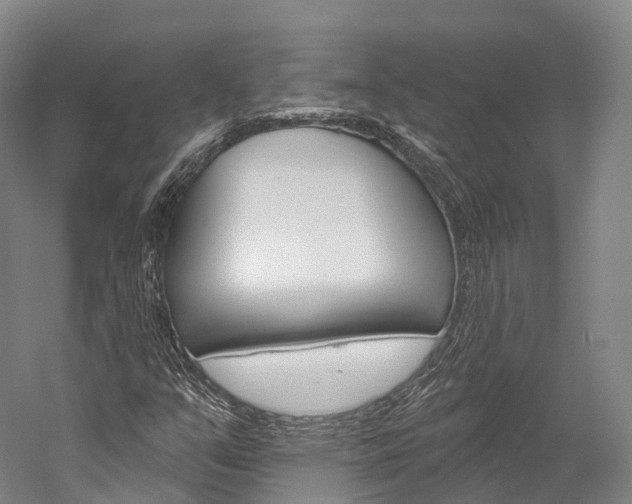 X0000060271351200510281024