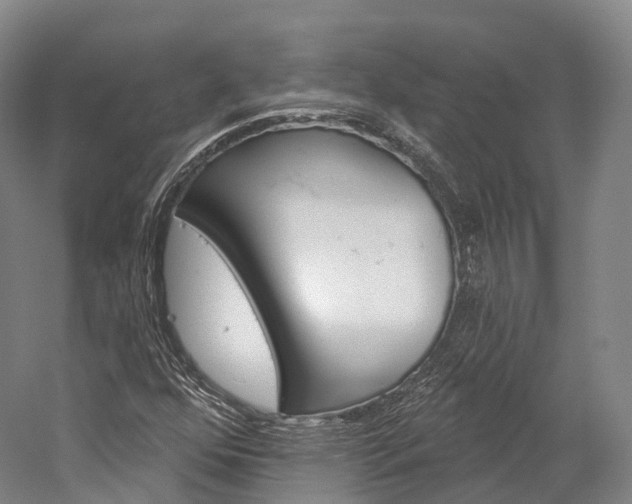 X0000060271352200510281024