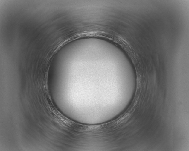 X0000060271353200510281024