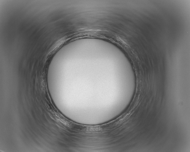 X0000060271354200510281024
