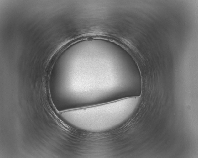 X0000060271356200510281024