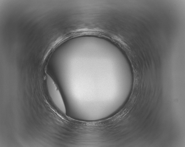 X0000060271357200510281024