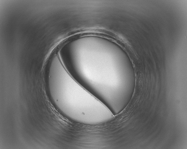 X0000060271360200510281024