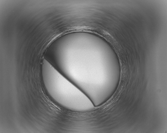 X0000060271361200510281024
