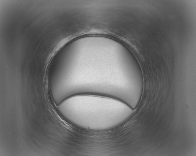X0000060271367200510281024