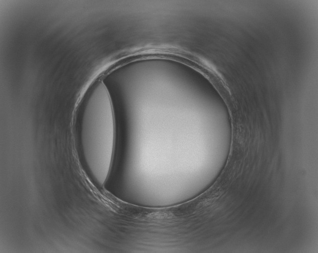 X0000060271368200510281024