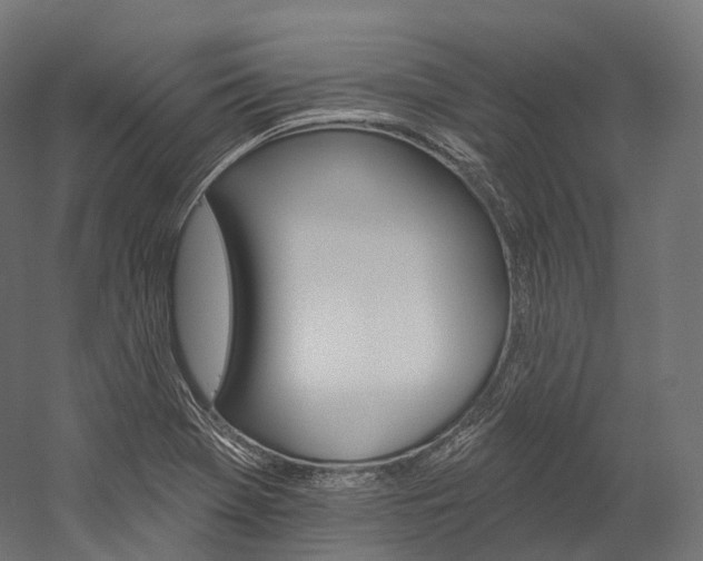 X0000060271369200510281024