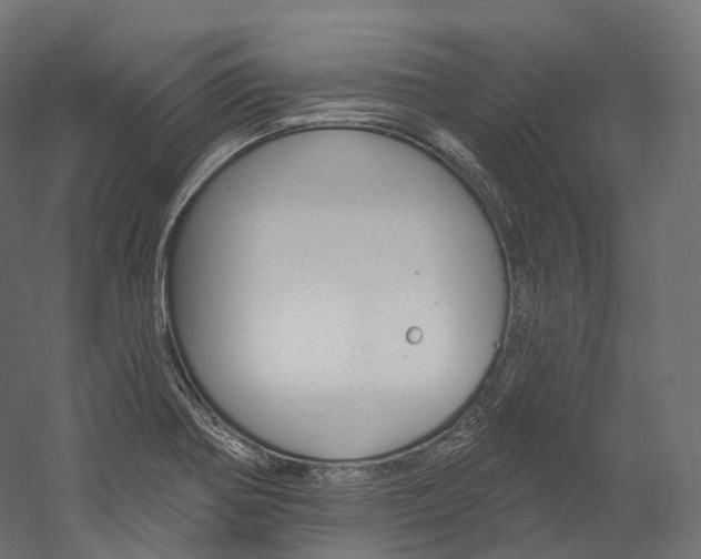 X0000060271370200510281024