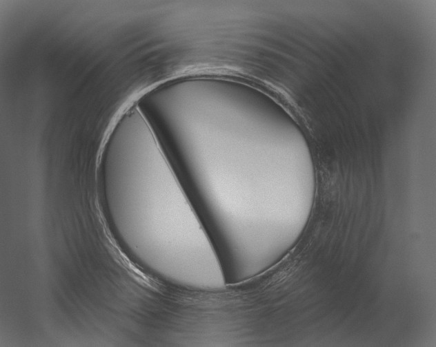 X0000060271371200510281024