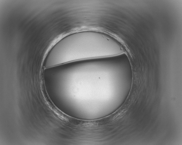 X0000060271373200510281024