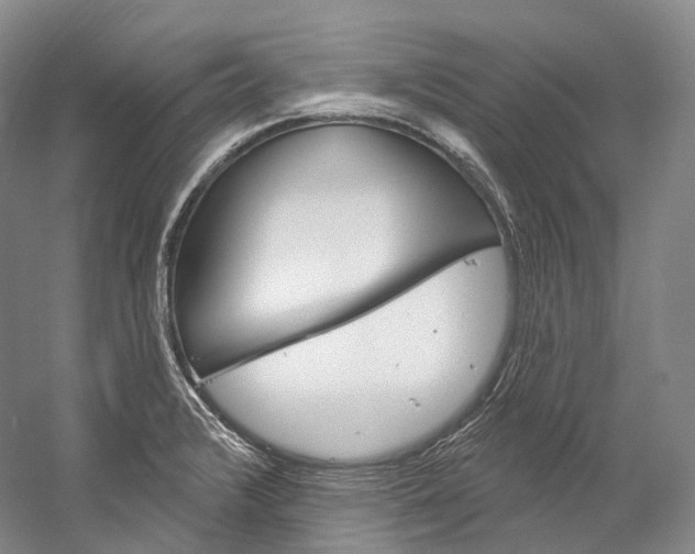 X0000060271376200510281024