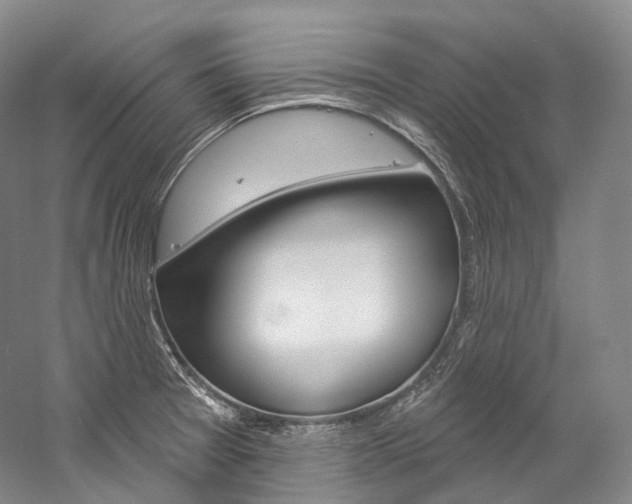 X0000060271377200510281024