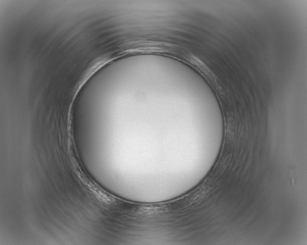 X0000060271378200510281024
