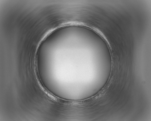 X0000060271381200510281023
