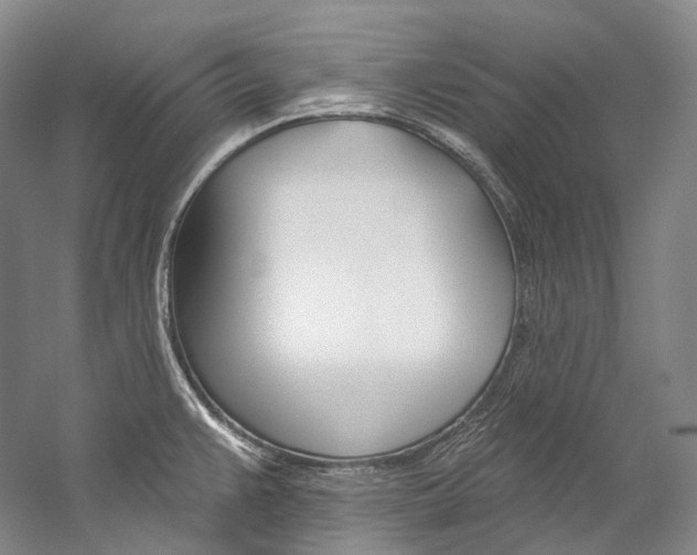X0000060271383200510281023