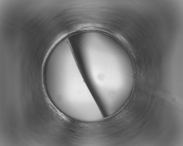 X0000060271384200510281023