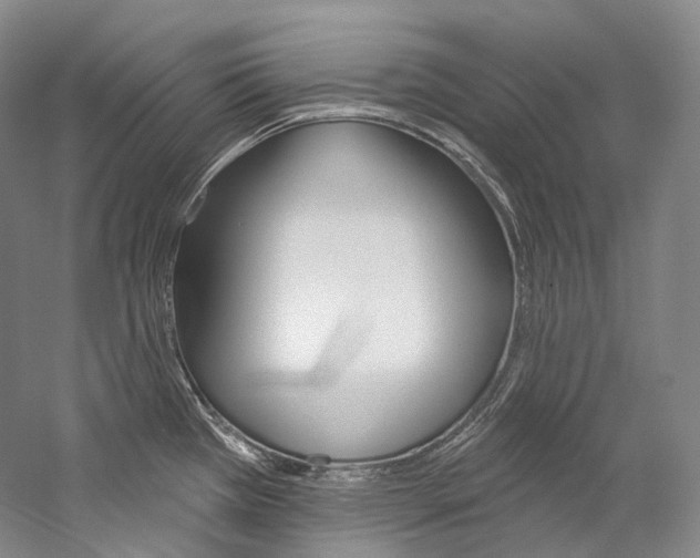 X0000060271385200510281023