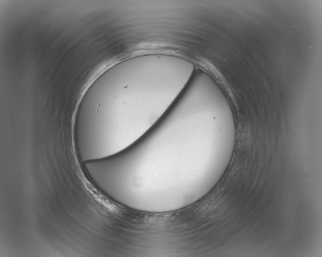X0000060271386200510281023