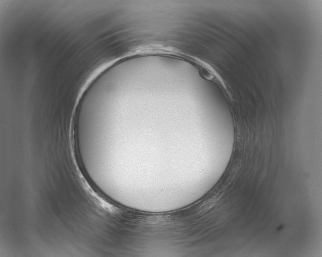 X0000060271387200510281023
