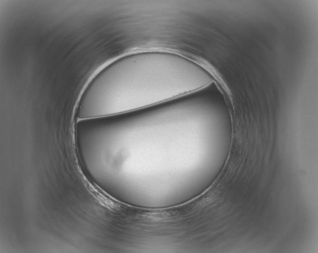 X0000060271388200510281023
