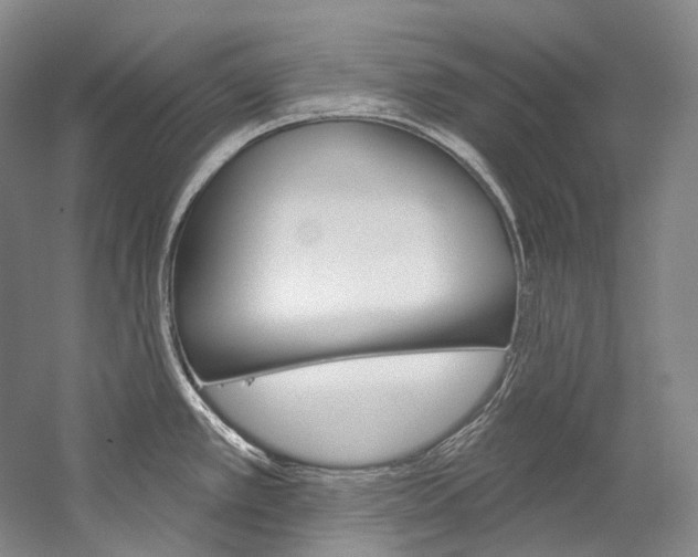 X0000060271389200510281023
