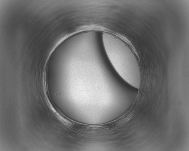 X0000060271391200510281023
