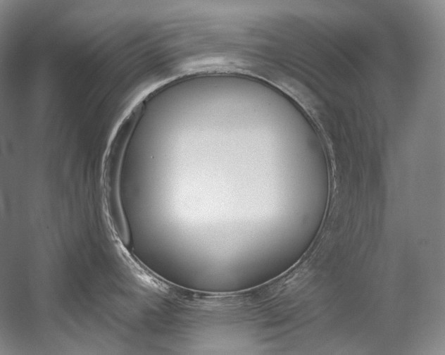 X0000060271392200510281023