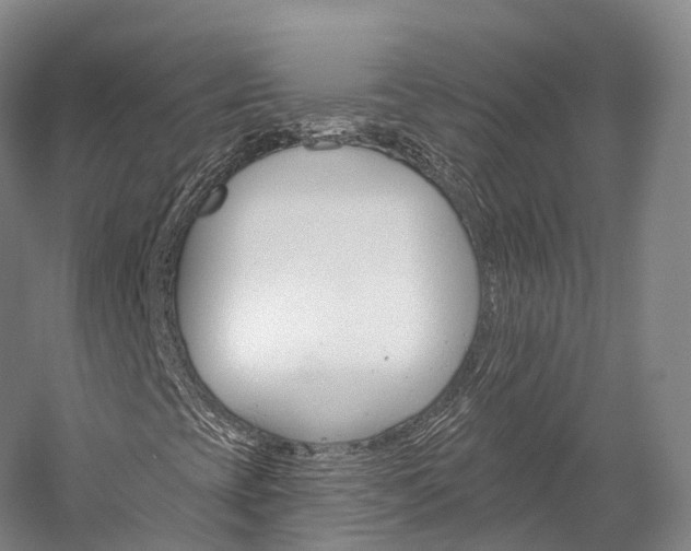 X0000060271393200510281022