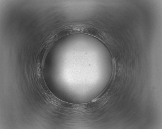 X0000060271394200510281022