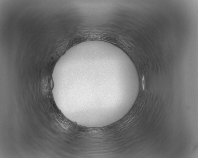X0000060271395200510281023