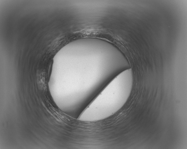 X0000060271396200510281023