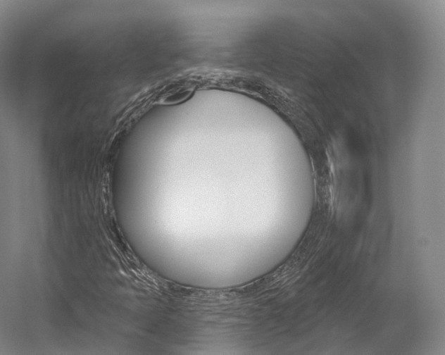 X0000060271397200510281023