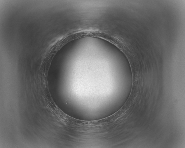 X0000060271398200510281023