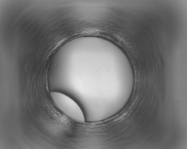X0000060271401200510281023