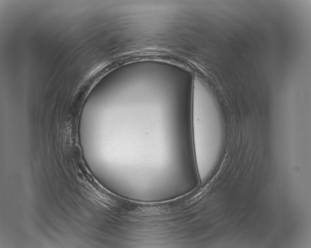 X0000060271402200510281023
