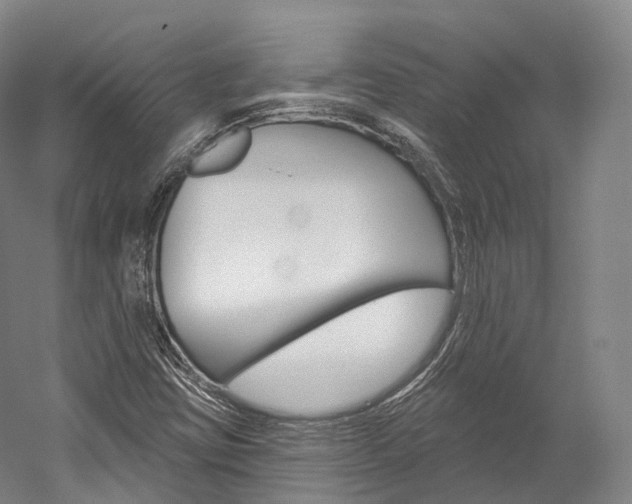 X0000060271403200510281023