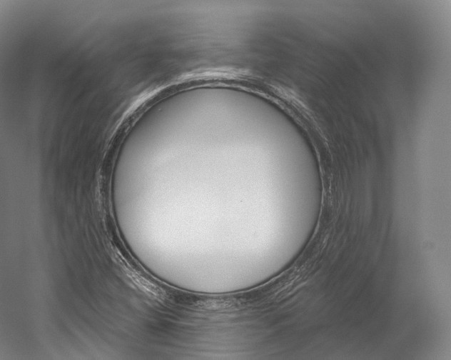 X0000060271404200510281023