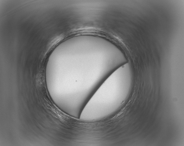 X0000060271405200510281023