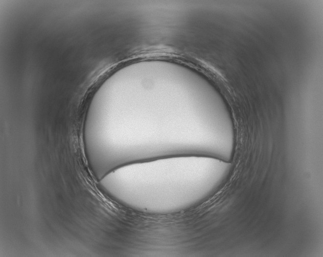 X0000060271407200510281023