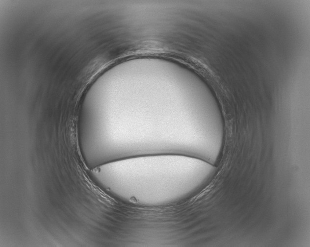 X0000060271409200510281023
