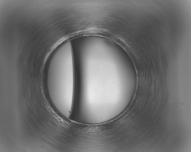 X0000060271410200510281023