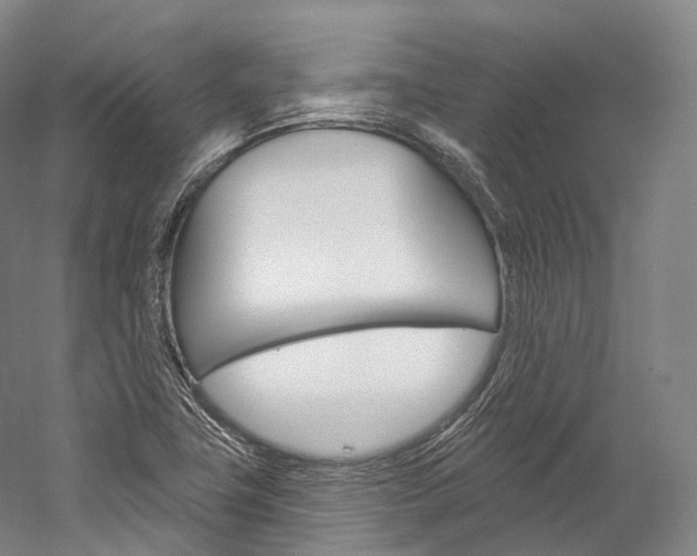 X0000060271411200510281023