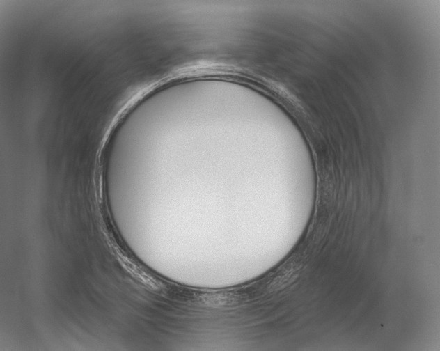 X0000060271413200510281023