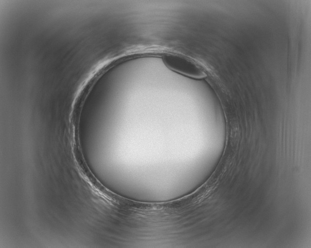 X0000060271414200510281023
